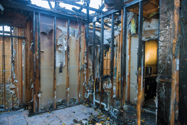 Professional Structural Rebuild technician working in Prosper, TX